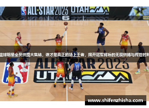篮球明星全员拼图大集结，谁才是真正的场上王者，揭开冠军背后的无畏拼搏与辉煌时刻